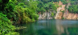 Das Bukit Tima Reserve lädt geradezu zu einer Wanderung ein