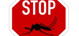 Malaria Prophylaxe für Singapur