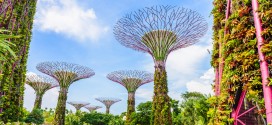 Garden by the bay in Singapur - ein bekannter Touristenspot